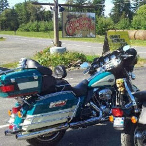 Meet your Posher, Robert